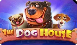 Bruno Casino giochi The Dog House